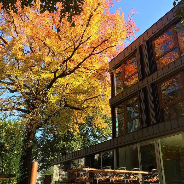 Gasthof Casa Sull'albero Malgrate