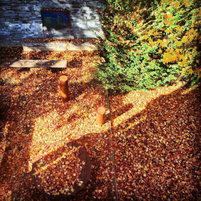 Gasthof Casa Sull'albero
